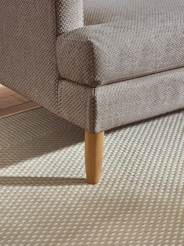 Daisy Coyote Grey Chenille Upholstered Compact 2 Seater Sofa - Image 6